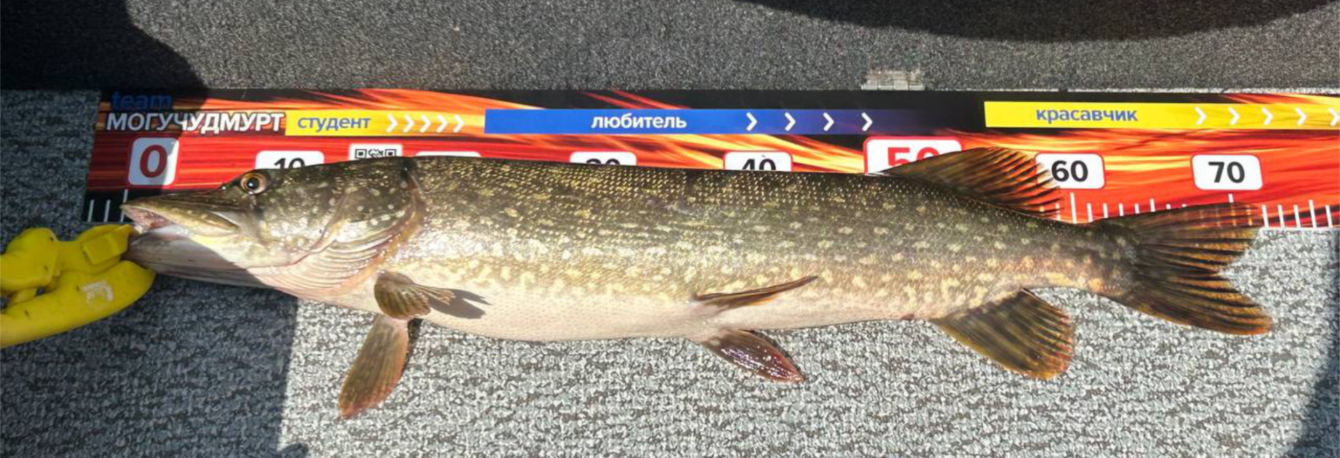 1 (1) (1).png 1 (1) (1).png