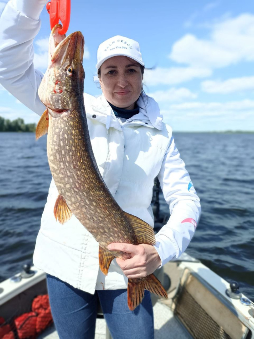 photo1686552978 (1).jpeg photo1686552978 (1).jpeg